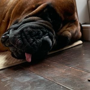 Meet your Posher, Cade